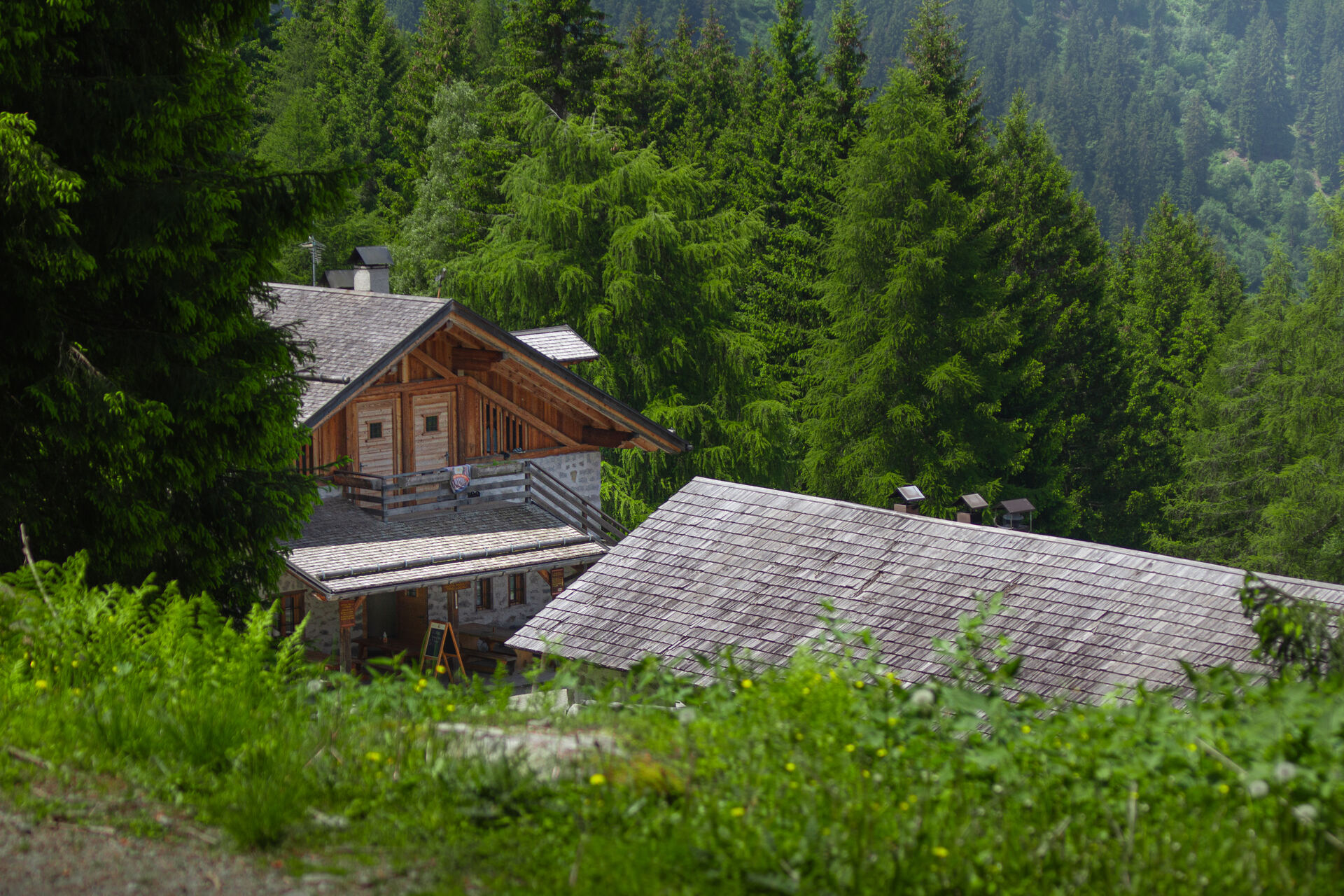 Contatti Malga Alta di Fazzon, Pellizzano - Val di Sole