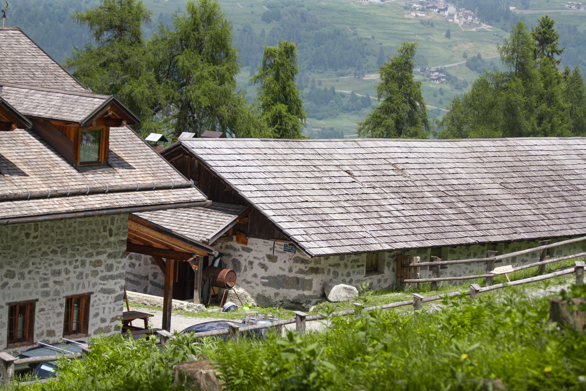 Menu e cucina tipica trentina - Malga Alta di Fazzon