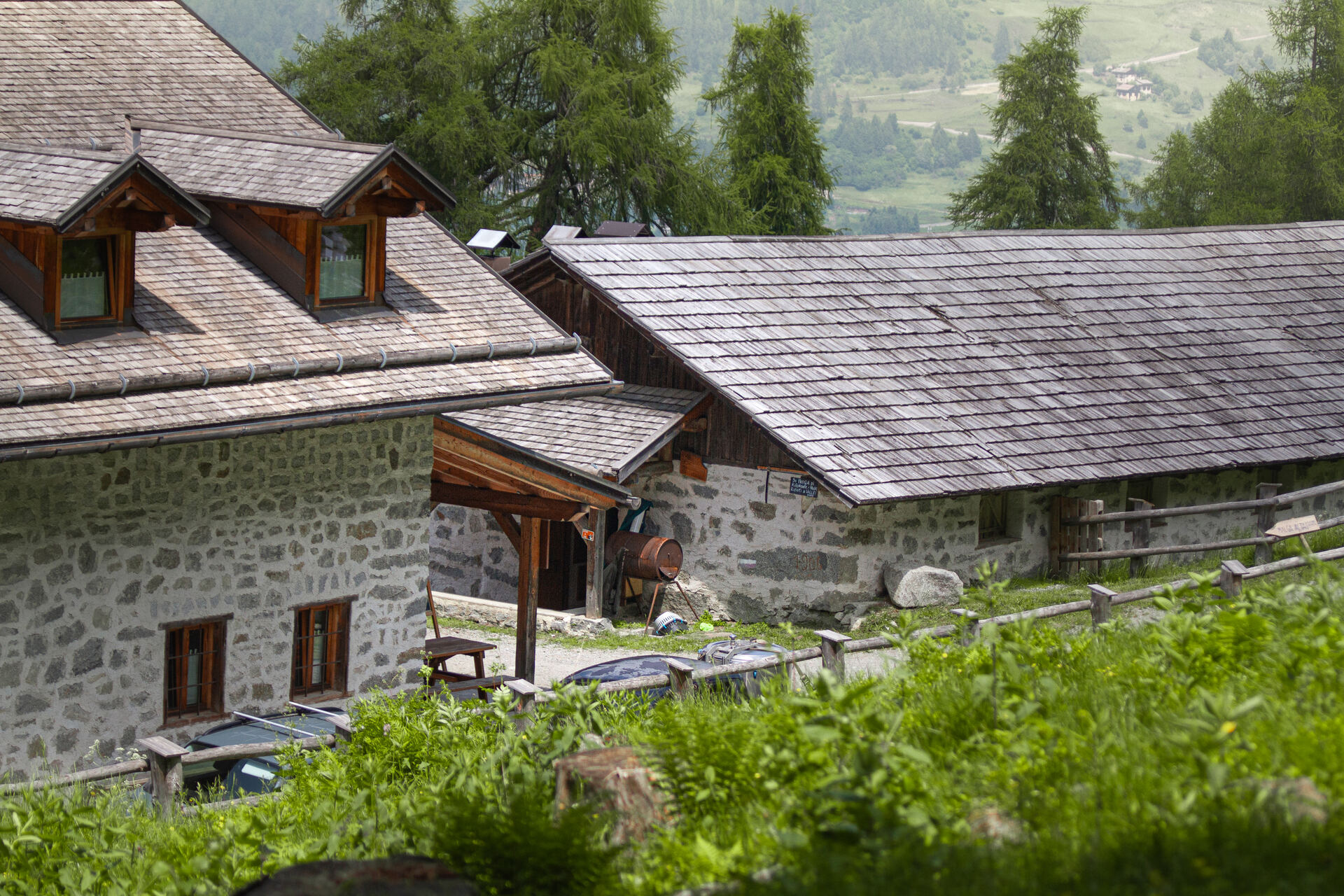 Galleria fotografica Malga Alta di Fazzon, Val di Sole