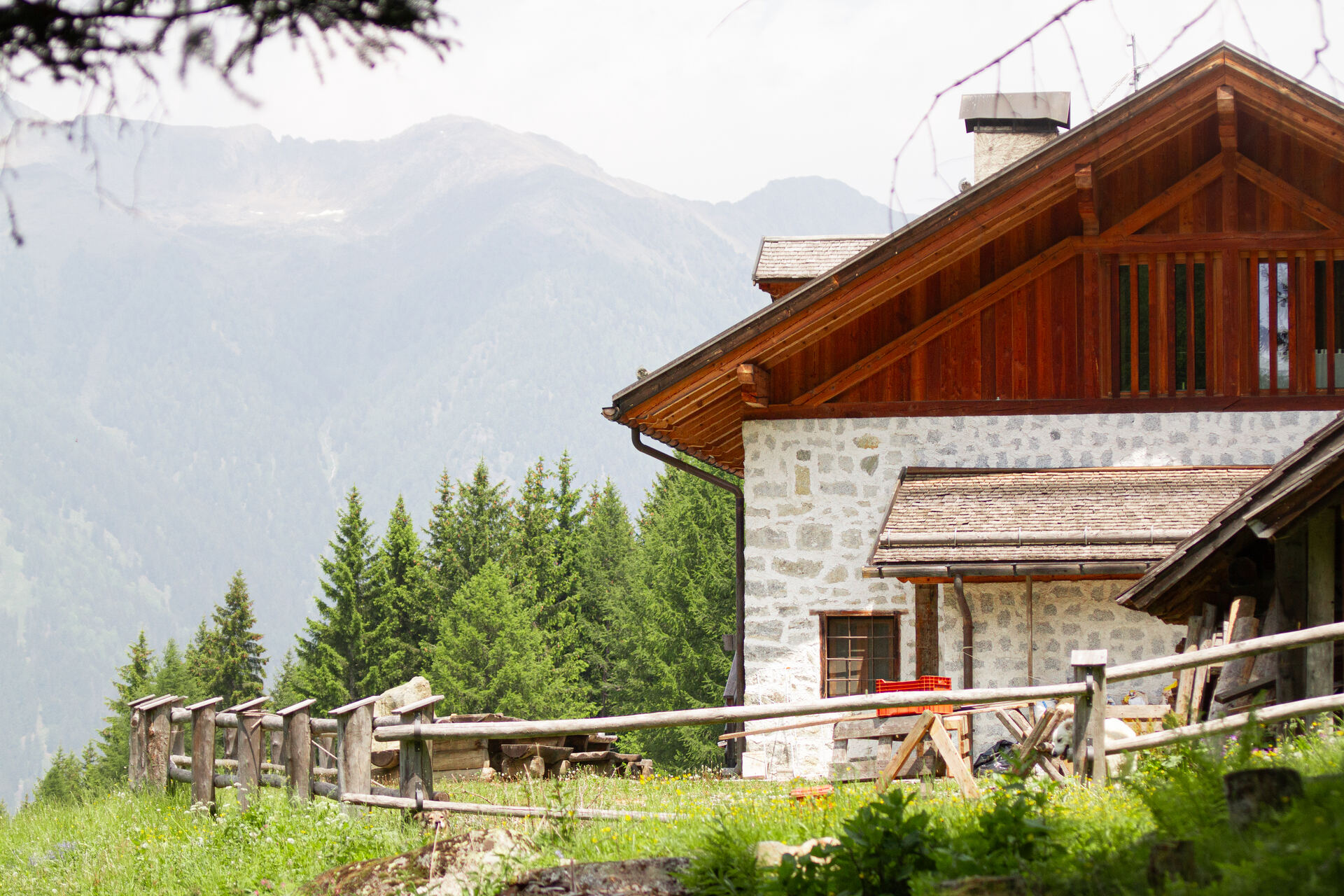 Malga Alta di Fazzon vista panoramica - Pellizzano, Val di Sole