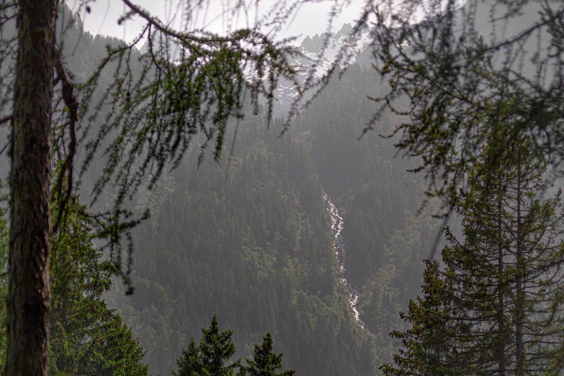 Malga Alta Fazzon - Slide 4